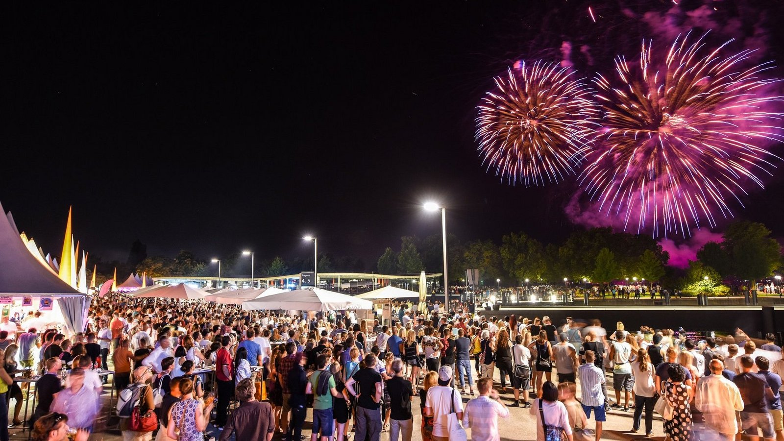 Feuerwerk über einer begeisterten Menge beim Hafenfest Bregenz