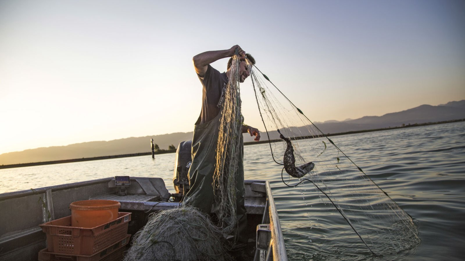 Fischer auf dem Bodensee mit einem Fisch im Netz