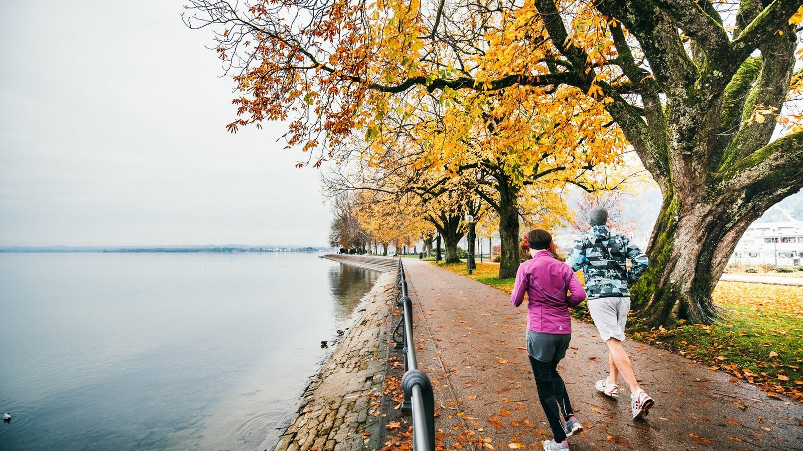 Zwei Läufer laufen entlang der herbstlichen Bregenzer Uferpromenade