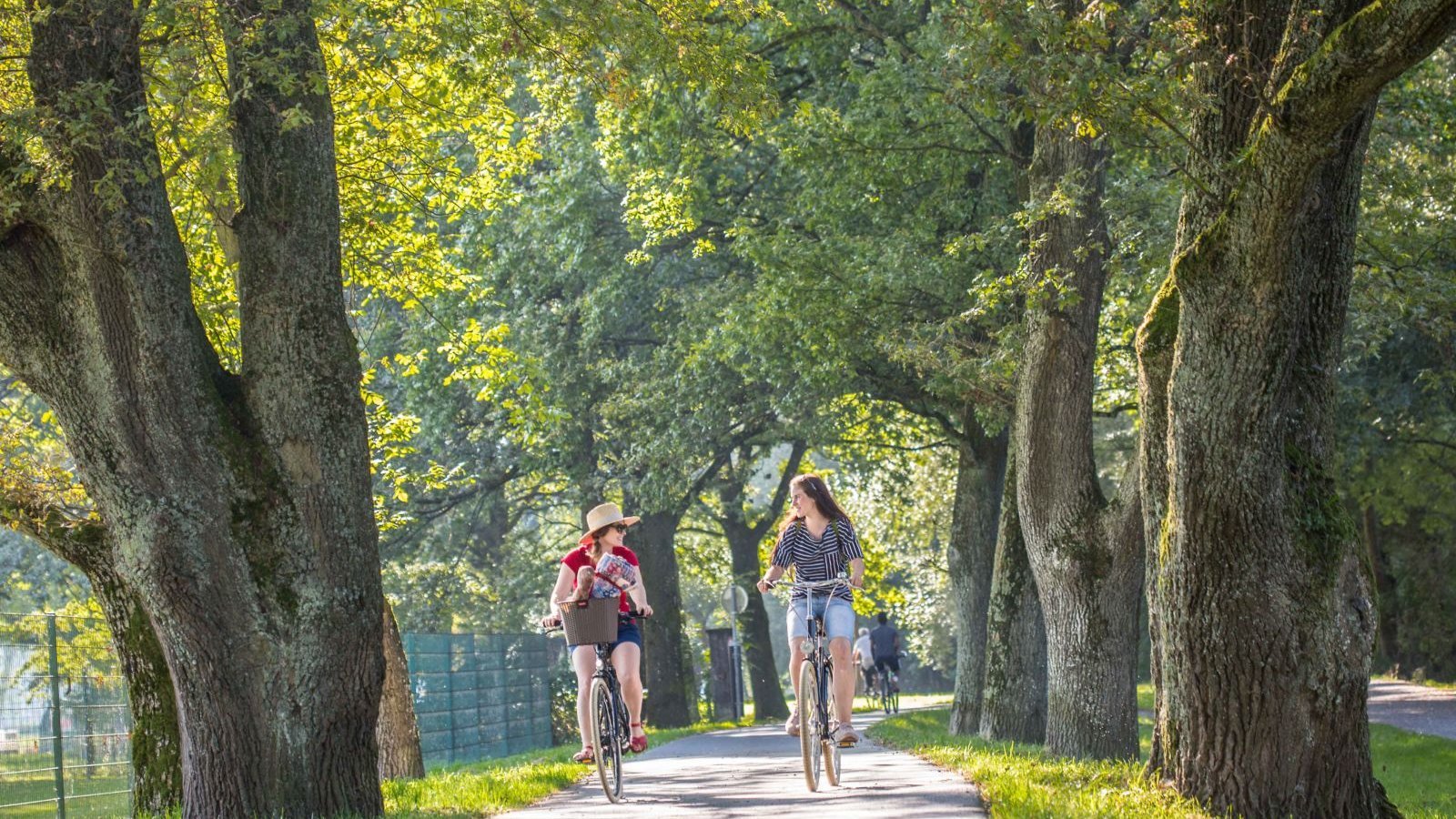 Zwei Frauen fahren mit dem Fahrrad zwischen Bäumen