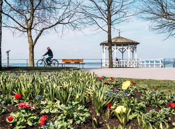 Ein Radfahrer im Frühling vor dem Fischersteg und blühende Blumen