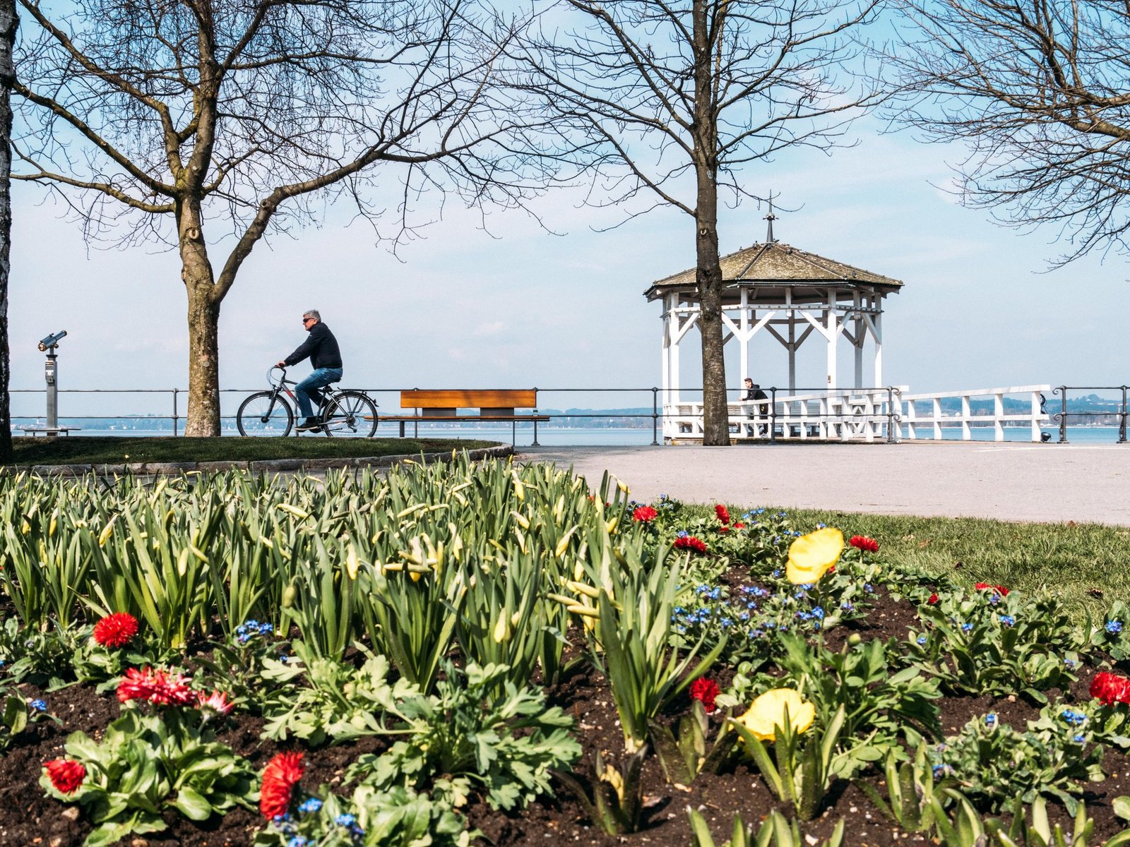 Ein Fahrradfahrer fährt zwischen blühenden Blumen die Seepromenade entlang